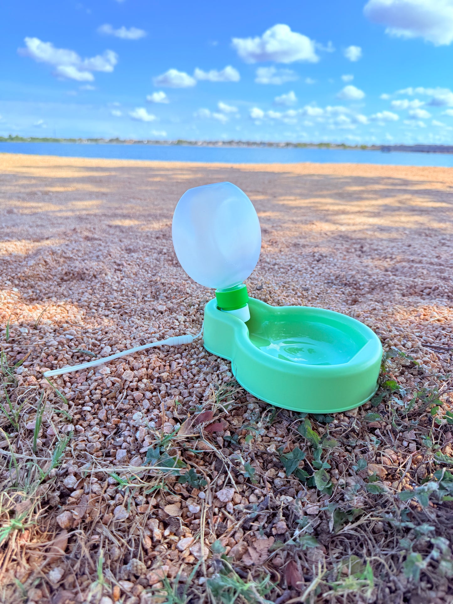 Portable Dog Bowl