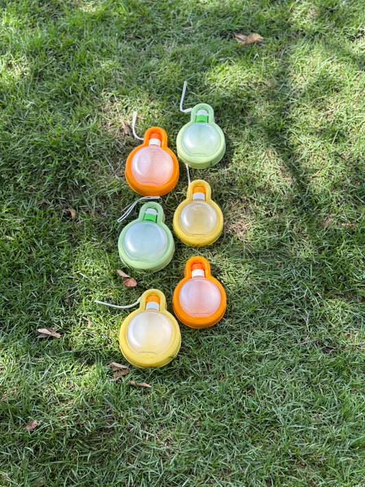 Portable Dog Bowl