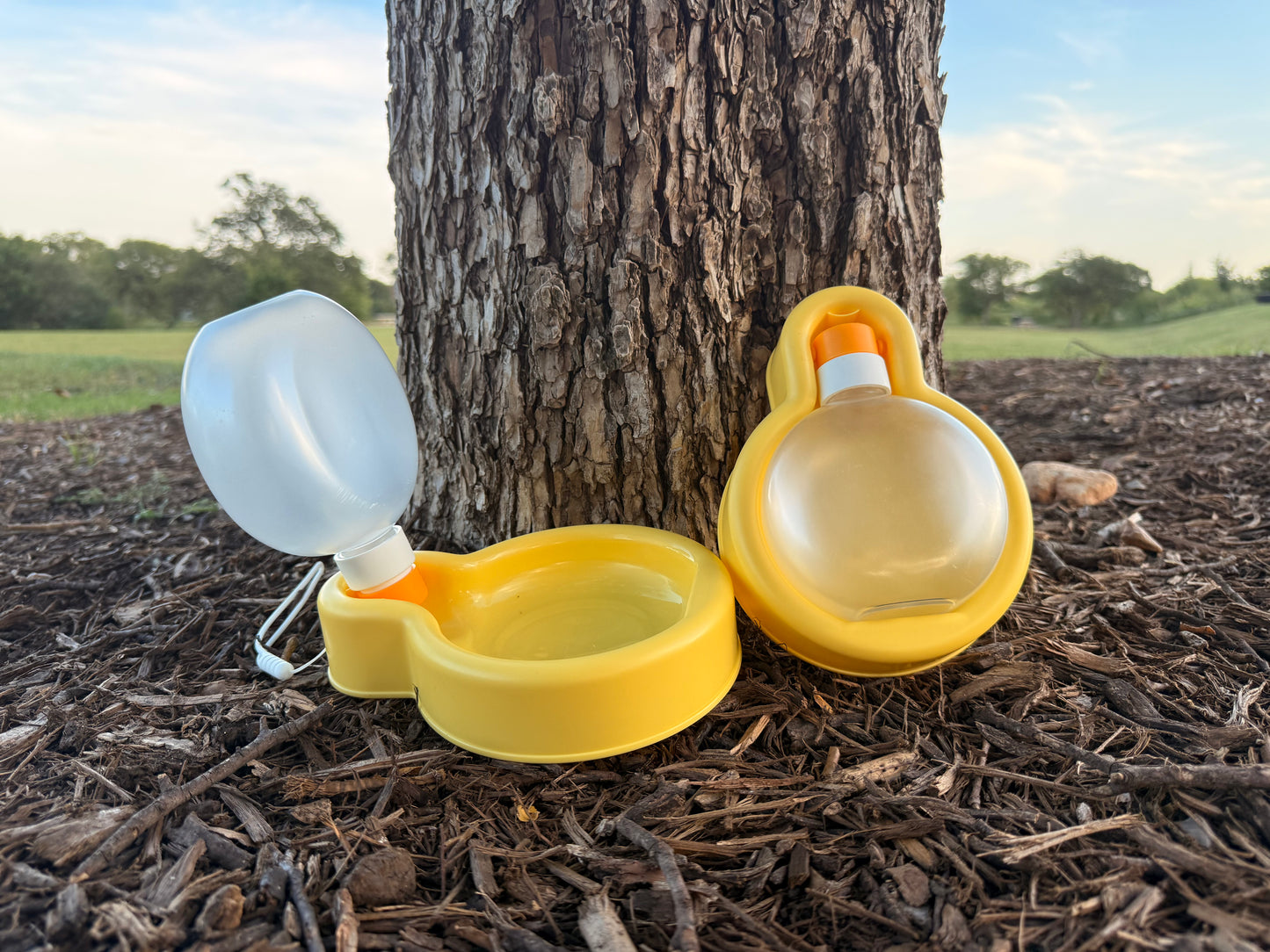 Portable Dog Bowl