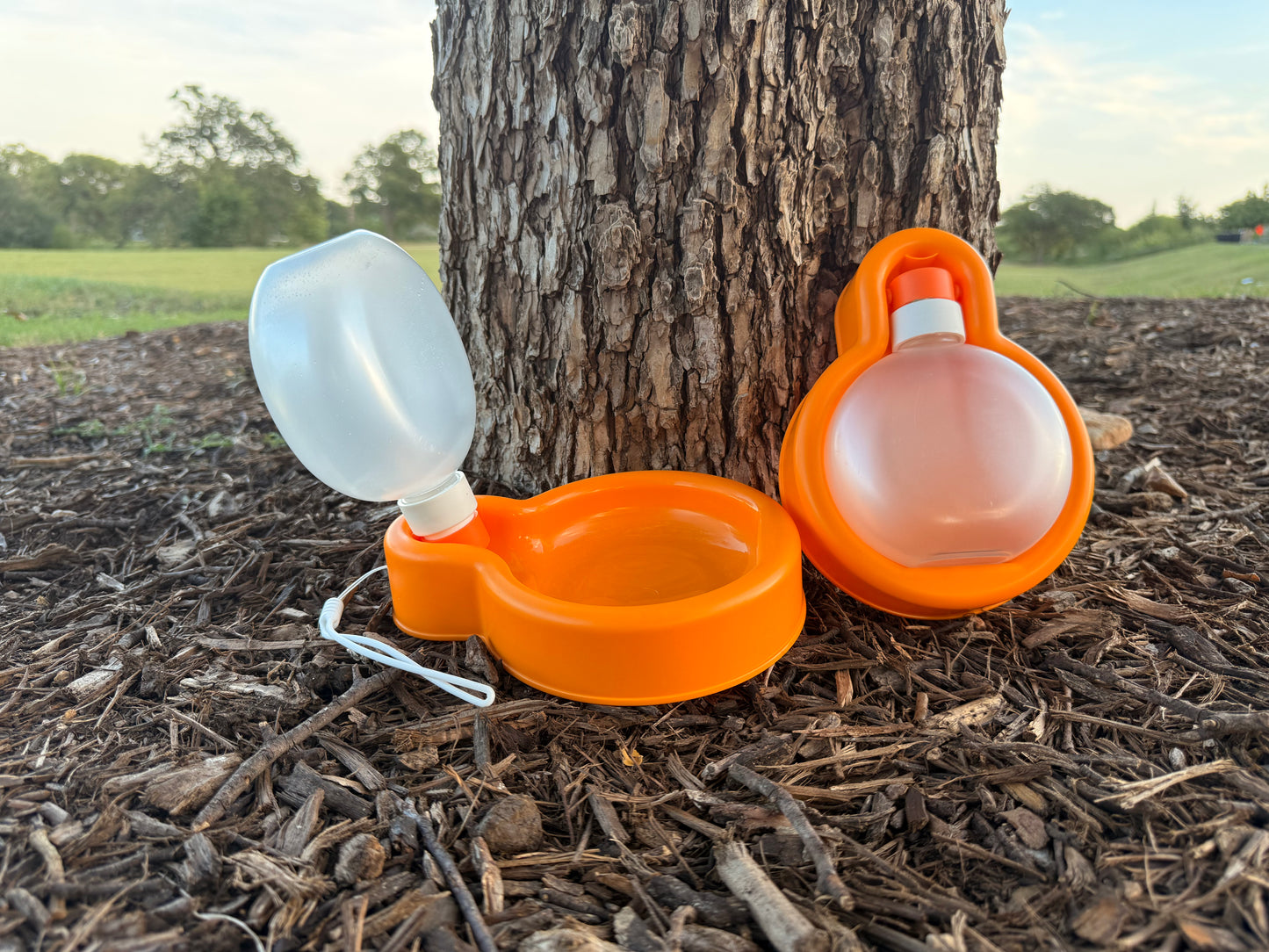 Portable Dog Bowl