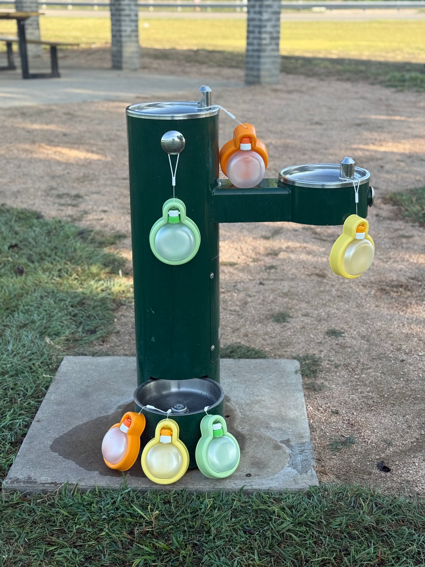 Portable Dog Bowl