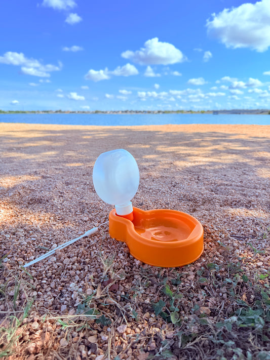 Portable Dog Bowl