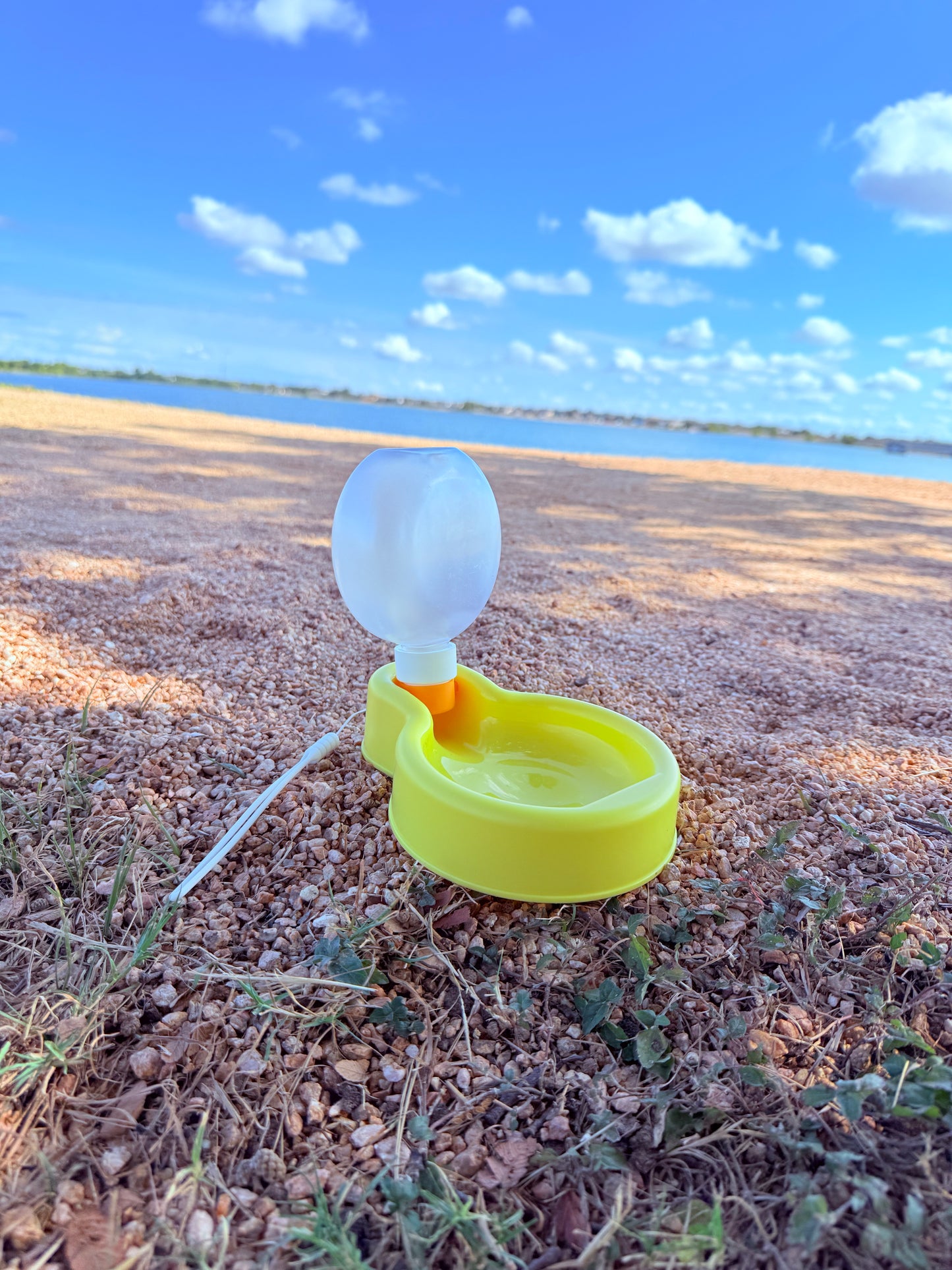 Portable Dog Bowl